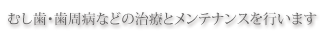 虫歯・歯周病などの治療とメンテナンスを行います